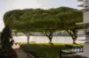 1211/22 Refinery Parade, New Farm, Qld 4005-Image