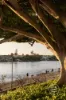 1211/22 Refinery Parade, New Farm, Qld 4005-Image