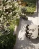 125-127 Doncaster Road, Balwyn, Vic 3103-Image