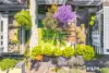 127/4  Alexandra Drive, Camperdown, NSW 2050-Image