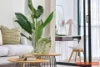 129/25 - 35A Park Road, Hurstville, NSW 2220-Image