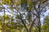 13/10 Challis Avenue, Potts Point, NSW 2011-Image