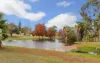 13/13 Grant Pl, Bentley, WA 6102-Image
