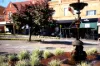 13/139A Smith Street, Summer Hill, NSW 2130-Image