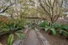 13/3 Gordon Street, City ACT 2601-Image