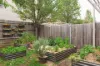 13/35 Tay Street, Watson, ACT 2602-Image
