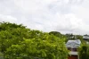 1302/43 Forbes St, West End, Qld 4101
