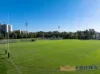 131/3 Maple Tree Road, Westmead, NSW 2145-Image