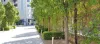 139/20 Victoria Road, Parramatta, NSW 2150-Image