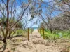 14/10 Pacific Boulevard, Buddina QLD 4575-Image