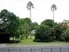 14-20 Gardeners Road, Kingsford, NSW 2032-Image