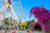 14/26 Lower River Terrace, South Brisbane, Qld 4101-Image