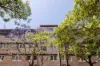 14/44 Hardie Street, Darlinghurst, NSW 2010-Image