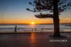 14/62-64 Pittwater Road, Manly, NSW 2095-Image