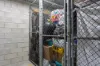 148/15 Goodwin Street, Kangaroo Point, Qld 4169-Image