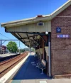 149 Edwin Street, Croydon, NSW 2132-Image