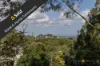 15/1 Lamond Drive, Turramurra, NSW 2074-Image