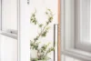 15/101-103 Wentworth Street, Randwick, NSW 2031-Image