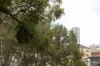 15/39 Francis Street, Darlinghurst, NSW 2010-Image