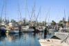 15/50 Burnett Street, Mooloolaba, Qld 4557-Image