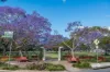 15/75 Barker Street, New Farm, Qld 4005-Image