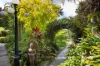 15/8A Wylde Street, Potts Point, NSW 2011-Image