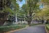 1521/555 St Kilda Road, Melbourne VIC 3004-Image