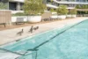 154/15 Irving Street, Phillip, ACT 2606-Image