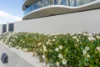 154/15 Irving Street, Phillip, ACT 2606-Image