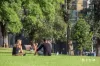 155/480 La Trobe Street, West Melbourne, Vic 3003-Image