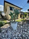 158 Riding Road, Balmoral, Qld 4171-Image