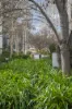 16/24 Forbes Street, Turner, ACT 2612-Image