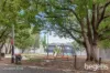 16/8 Cavill Avenue, Ashfield, NSW 2131-Image