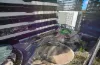 1603A/845 Whitehorse Road, Box Hill VIC 3128-Image