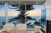 17/2 South Esplanade, Glenelg, SA 5045-Image