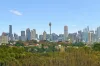17/206 Victoria Road, Bellevue Hill, NSW 2023-Image