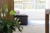 17/80 Cook Road, Centennial Park, NSW 2021-Image