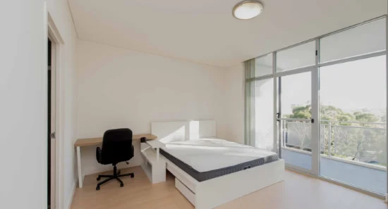 17  Wilga St, Burwood, NSW 2134-Image