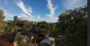 17  Wilga St, Burwood, NSW 2134-Image