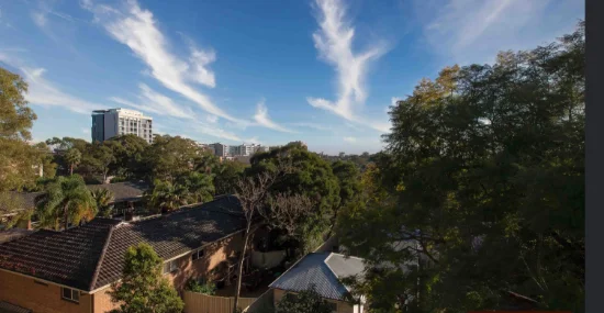 17  Wilga St, Burwood, NSW 2134-Image
