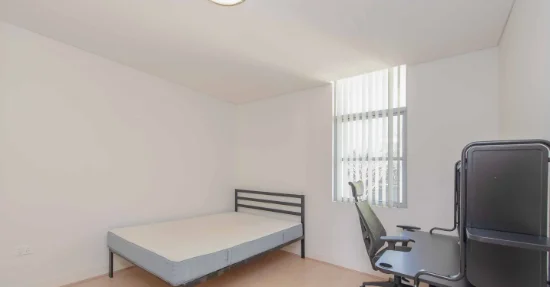 17  Wilga St, Burwood, NSW 2134-Image