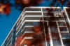 170/20 Allara Street, City ACT 2601-Image