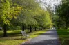 1702/478A St Kilda Road, Melbourne, Vic 3004-Image