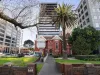 1703/572 St Kilda Road, Melbourne, Vic 3004-Image