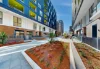 172/12 Letitia Street, Zetland, NSW 2017-Image