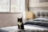 172/635 Gardeners Road, Mascot, NSW 2020-Image