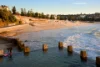 18/10 Alexander Street, Coogee, NSW 2034-Image