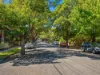 18/12 Cecil Street, Ashfield, NSW 2131-Image