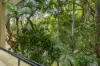 18/35-37 Davidson Street, Port Douglas, Qld 4877-Image