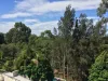 18/7 Nurmi Avenue, Newington, NSW 2127-Image